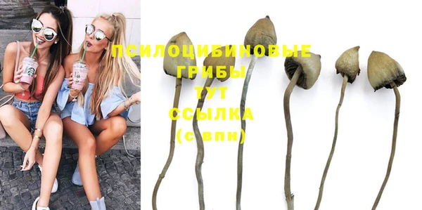 шишки Бугульма