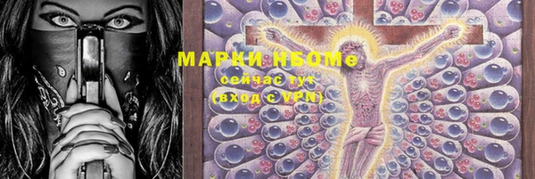 дмт Богданович