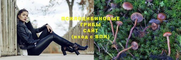 шишки Богородицк