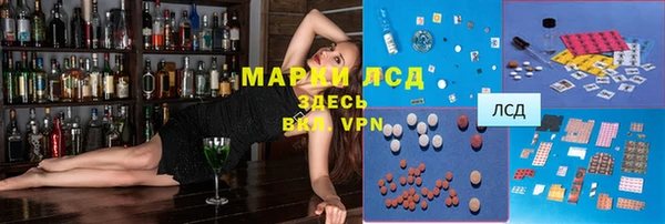 шишки Богородицк