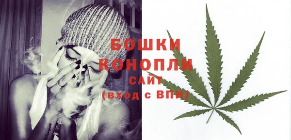 шишки Богородицк