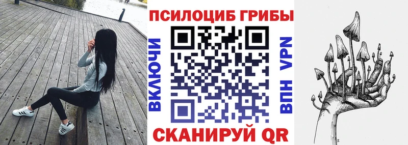 Псилоцибиновые грибы Psilocybine cubensis  Купить где  Краснокамск 